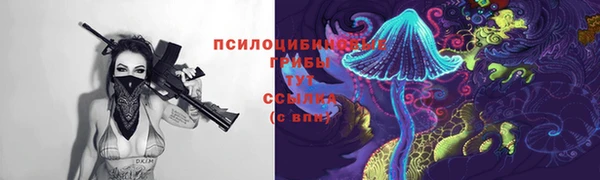 герыч Алзамай
