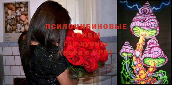 первитин Нягань