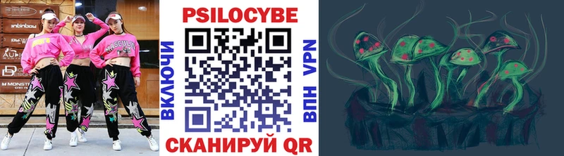 Псилоцибиновые грибы Psilocybe  Ступино 